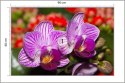 Fototapeta Optyczna Orchidea 3D