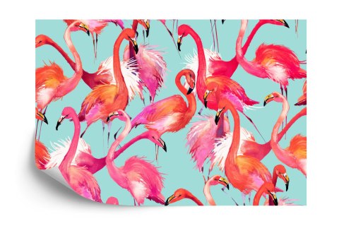 Fototapeta Flamingi