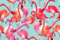 Fototapeta Flamingi