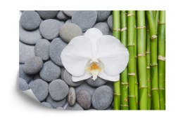 Fototapeta Bambusy Z Kamieniami I Orchideą