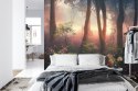 Fototapeta Colorful Sunset Forest Scenery With Beautiful Trees And Plants, Natural Green Environment With Amazing Nature