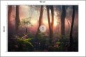 Fototapeta Colorful Sunset Forest Scenery With Beautiful Trees And Plants, Natural Green Environment With Amazing Nature