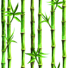 Tapeta Bambusowy Las
