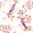 Tapeta - Piękne Kolorowe Ptaki