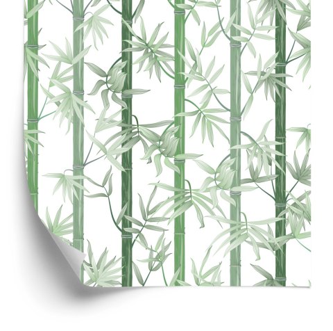 Tapeta Piękny Zielony Bambus