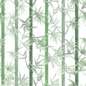 Tapeta Piękny Zielony Bambus