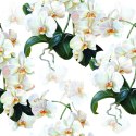 Tapeta Do Sypialni Egzotyczne Storczyki Orchidee
