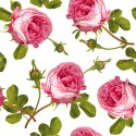 Tapeta Róże Z Liśćmi