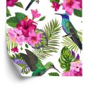 Tapeta Tropikalna - Kolorowe Kolibry, Liście I Kwiaty