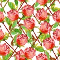 Tapeta Róże Z Łodygami