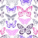 Tapeta Do Pokoju Dziecka Kolorowe Motyle Natura