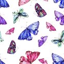 Tapeta Kolorowe Motyle Natura, Pokój Dziecięcy