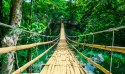 Obraz Wieloczęściowy Bambusowy Most W Lesie Tropikalnym