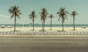 Obraz Wieloczęściowy Palmy Na Plaży Ipanema W Rio De Janeiro