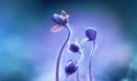 Obraz Wieloczęściowy Delikatne Kwiaty W Skali Makro