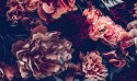 Obraz Wieloczęściowy Kolorowe Kwiaty W Stylu Retro 3D