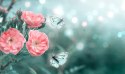 Obraz Wieloczęściowy Delikatne Kwiaty I Motyle 3D