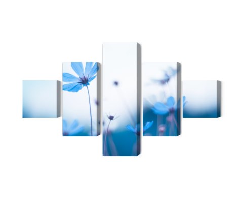 Obraz Wieloczęściowy Delikatne Niebieskie Kwiaty