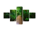 Obraz Wieloczęściowy Drewniany Most W Tropikalnym Lesie 3D
