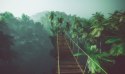 Obraz Wieloczęściowy Most Linowy W Dżungli 3D