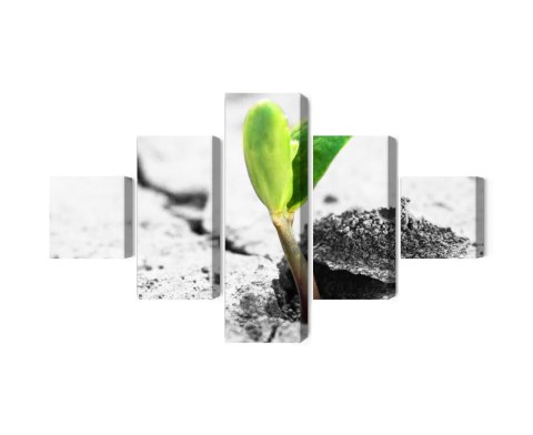 Obraz Wieloczęściowy Kiełkowanie Roślin 3D