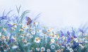 Obraz Wieloczęściowy Motyl I Polne Kwiaty