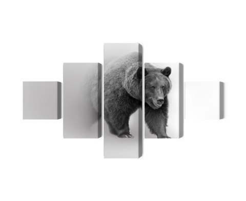 Obraz Wieloczęściowy Niedźwiedź We Mgle 3D